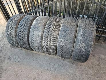 Michelin 205/55 R16 Sve sezone