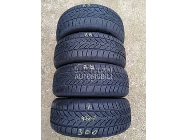 Platin Germany 225/55 R17 Zimska