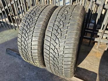 Goodyear 205/55 R16 Sve sezone