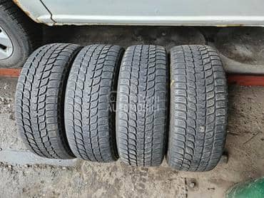Bridgestone 205/60 R16 Sve sezone