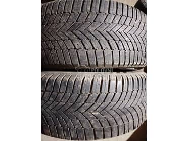 Bridgestone 215/55 R17 Sve sezone