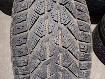 Riken 225/45 R17 Zimska