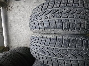 Riken 205/60 R16 Zimska