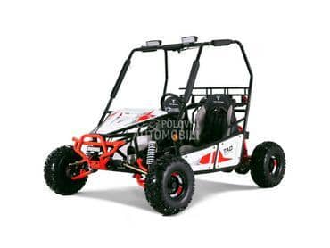 Tao Motor Buggy 125