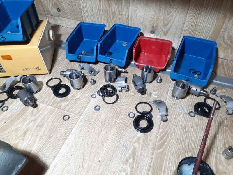 Kociona Klesta Zadnja