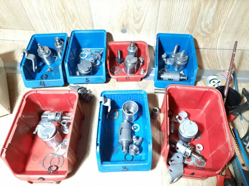 Kociona Klesta Zadnja