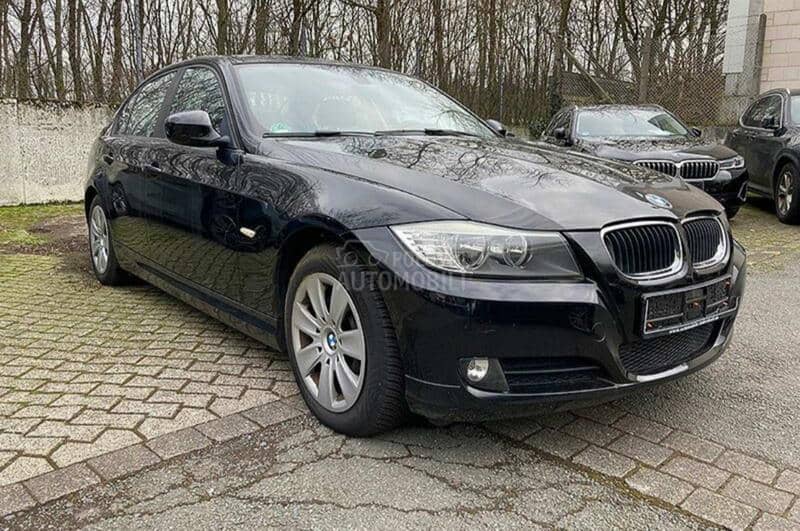 e90 kociona klesta