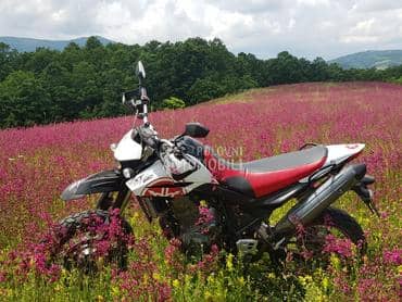 Yamaha XT660X SM