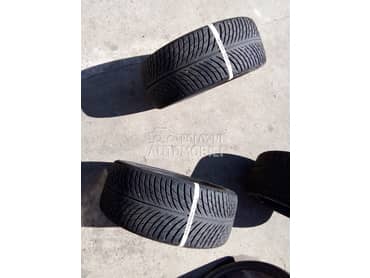 Michelin 255/40 R19 Zimska