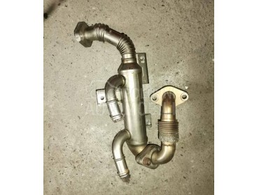 Hladnjak EGR Ventila BSW za Volkswagen Passat B6