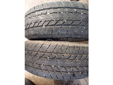 Davanti 175/65 R15 Zimska