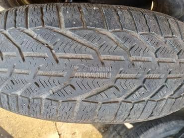 Riken 205/55 R16 Zimska