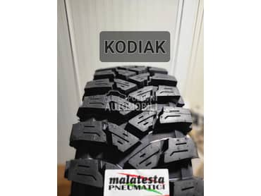 Ostalo 255/65 R17 Zimska