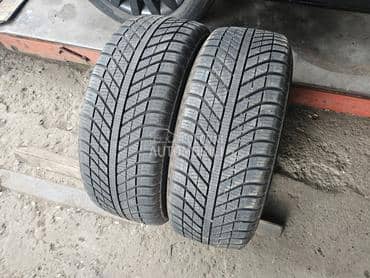 Goodyear 205/55 R16 Sve sezone