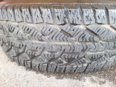 Tigar 195/65 R15 Sve sezone