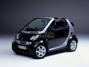 Branik za Smart ForTwo