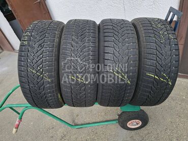 Nexen 205/55 R16 Zimska