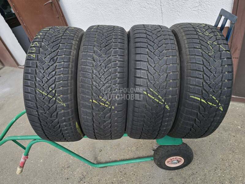 Nexen 205/55 R16 Zimska