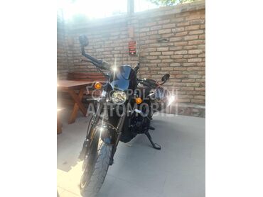 Harley Davidson street rod