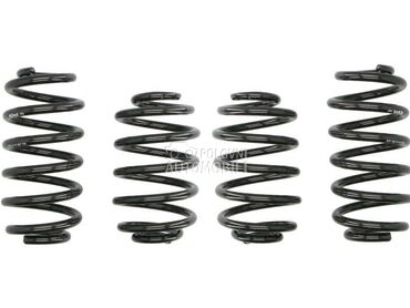 Eibach opruge ProKit za Volkswagen Passat B5.5