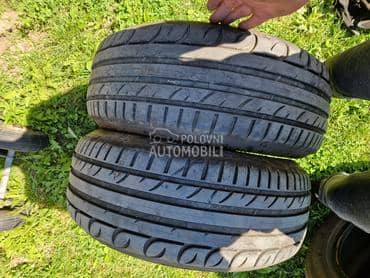 Riken 225/55 R17 Letnja