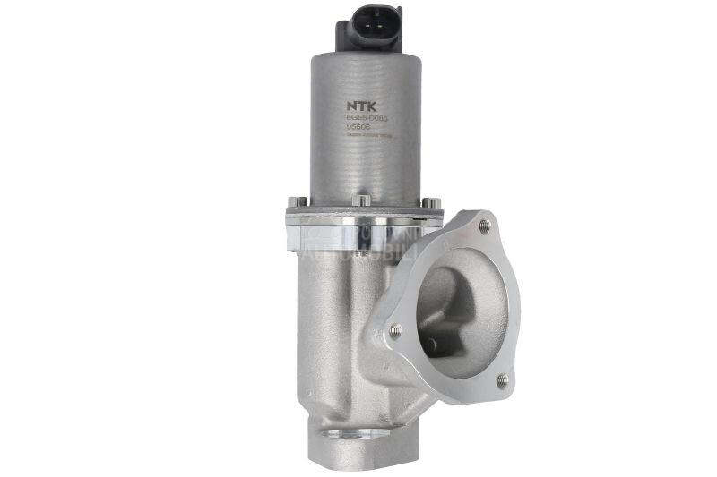 EGR Ventil