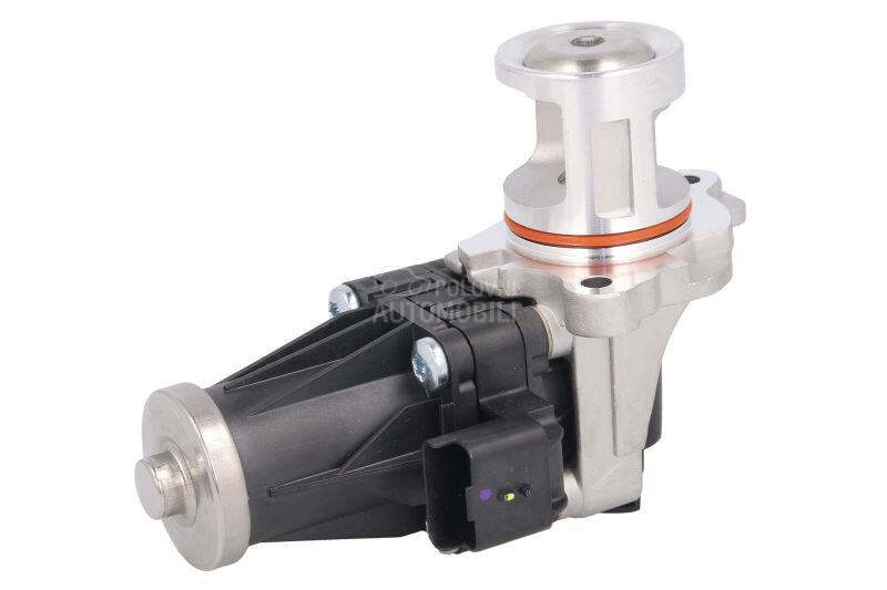 EGR Ventil