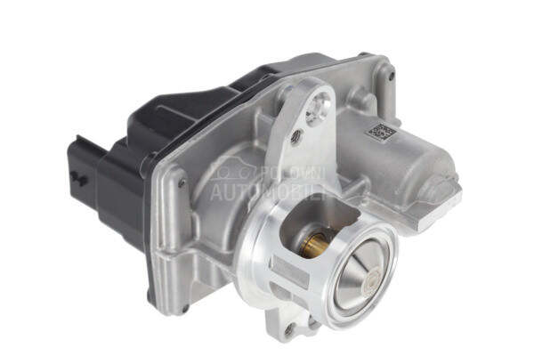 EGR Ventil