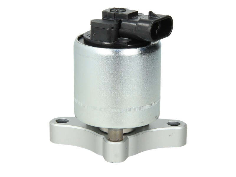 EGR Ventil