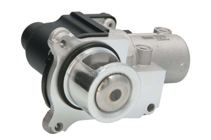 EGR Ventil