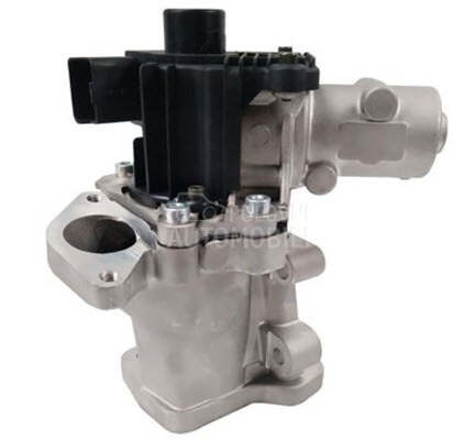 EGR Ventil