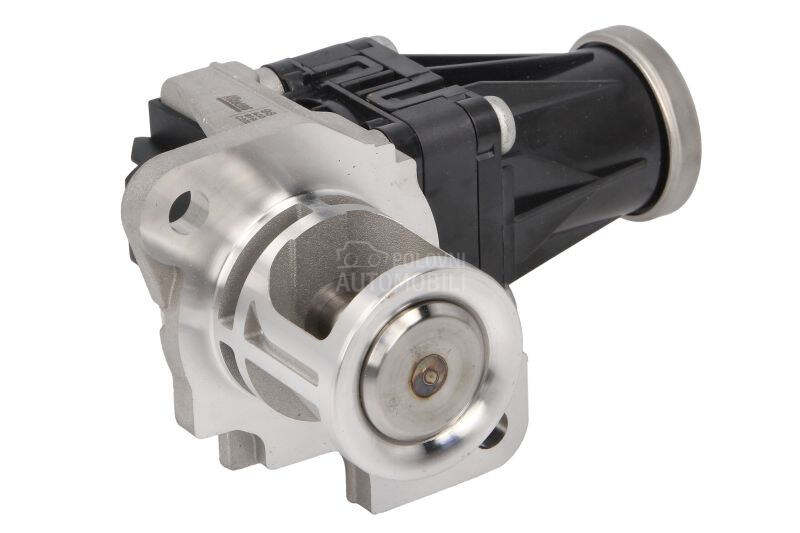 EGR Ventil