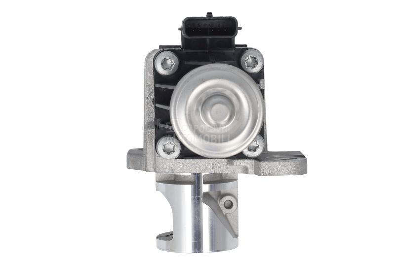 EGR Ventil
