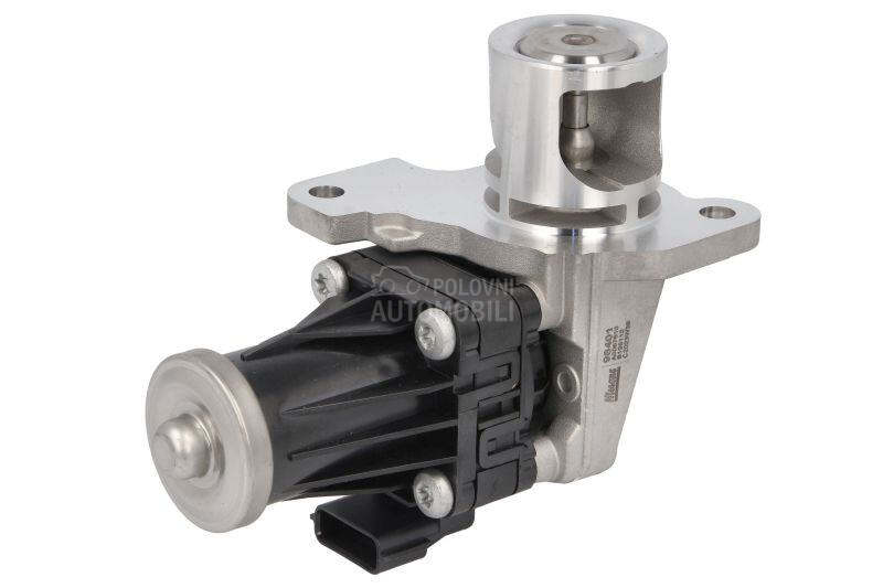 EGR Ventil