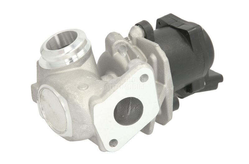 EGR Ventil