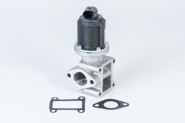 EGR Ventil