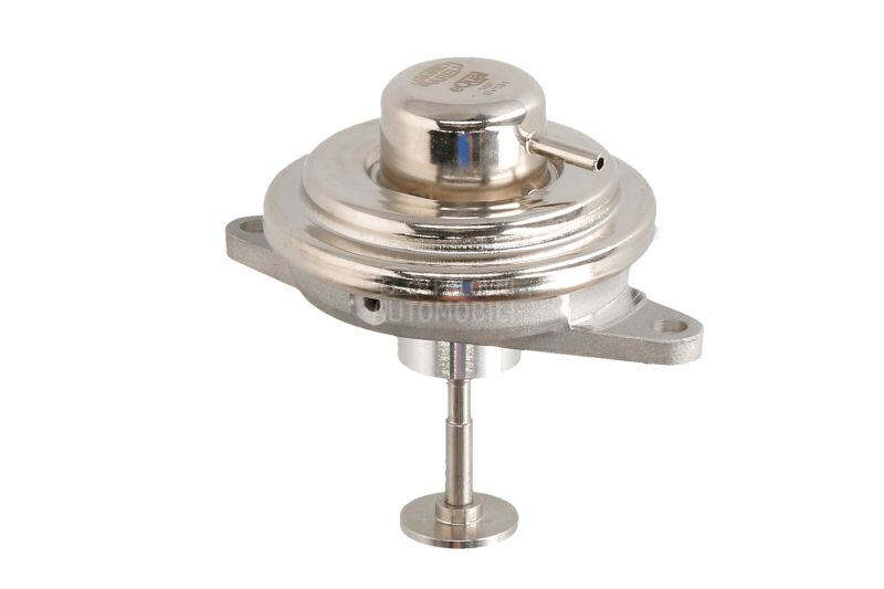 EGR Ventil