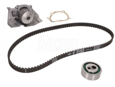 Veliki servis sa pumpom INA za Renault Xantia od 1993. do 2003. god.