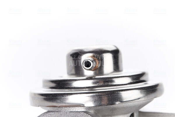 EGR Ventil
