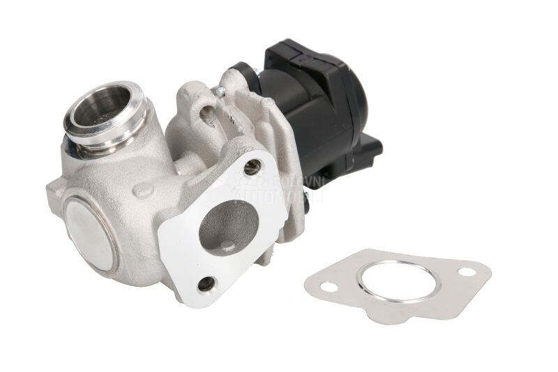 EGR Ventil