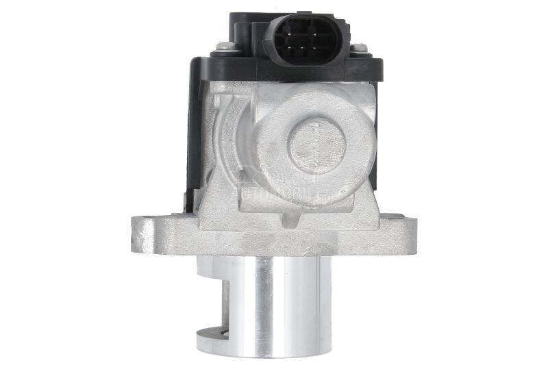 EGR Ventil