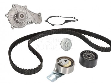 Veliki servis sa pumpom INA za Renault C-ELYSEE od 2012. do 2018. god.