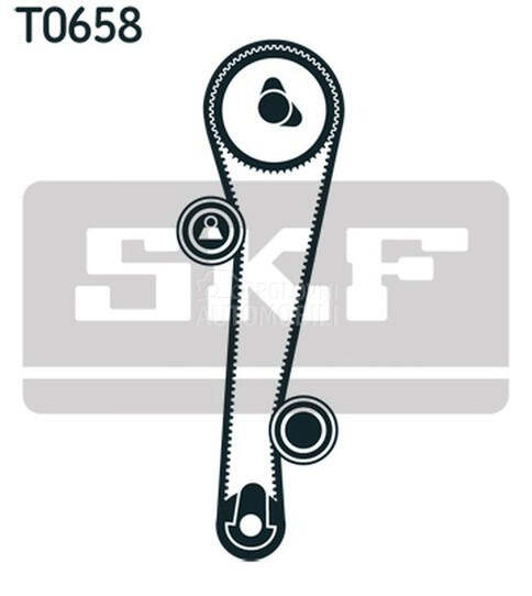 Veliki servis SKF