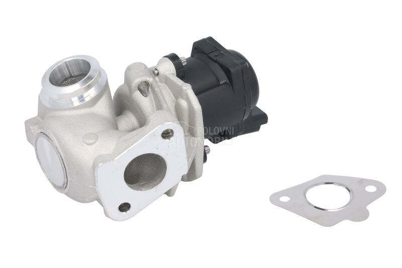 EGR Ventil