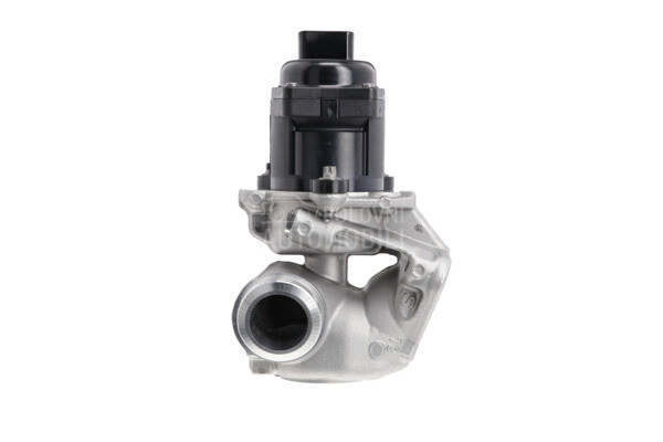 EGR Ventil VALEO