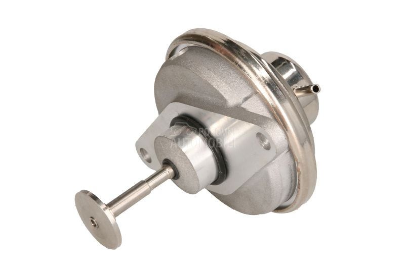 EGR Ventil