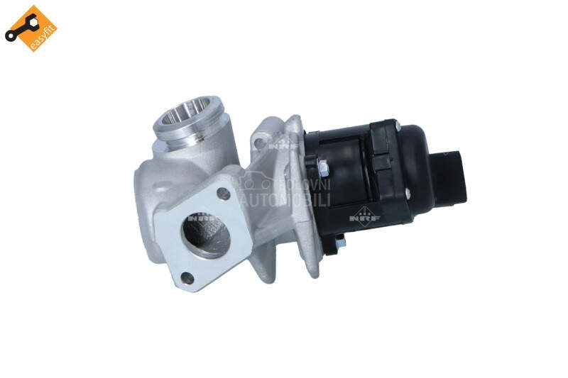 EGR Ventil