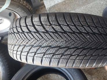 Bridgestone 205/55 R19 Sve sezone