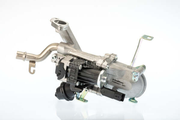 EGR Ventil
