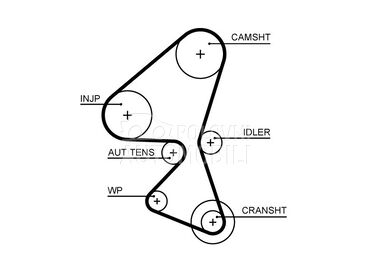 Komplet zupcastog kaisa za Renault C-ELYSEE od 2012. do 2018. god.